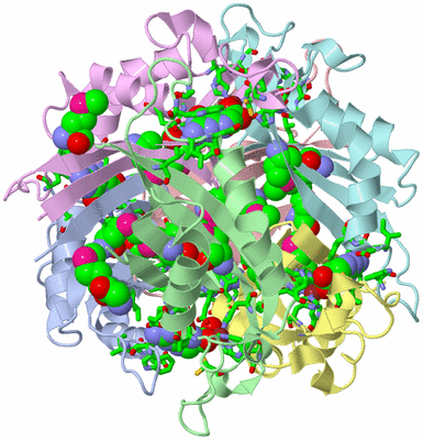 Image Asym./Biol. Unit - sites