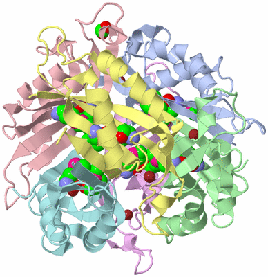 Image Asym./Biol. Unit