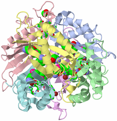 Image Asym./Biol. Unit - sites