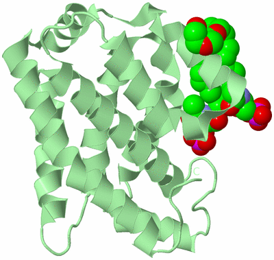 Image Biological Unit 2