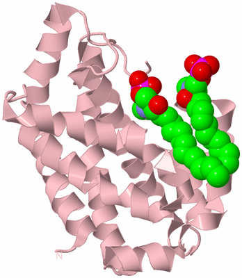 Image Biological Unit 3