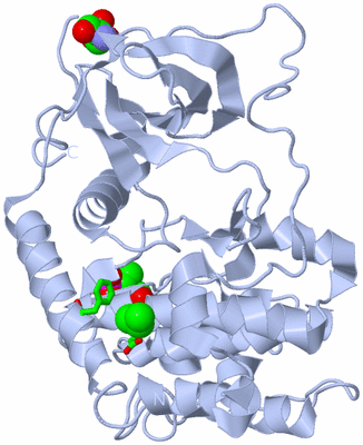 Image Biol. Unit 1 - sites