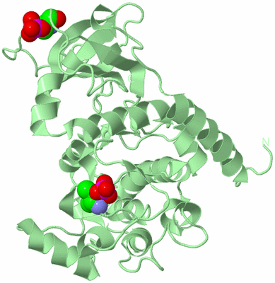 Image Biological Unit 2