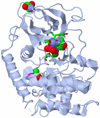 Image Biol. Unit 1 - sites