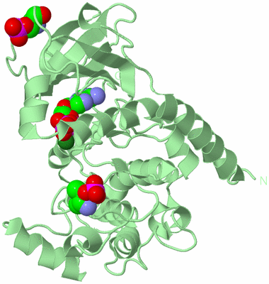 Image Biological Unit 2