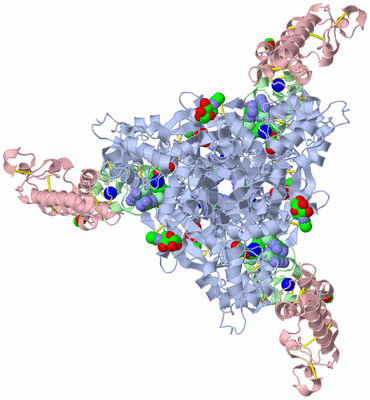 Image Biological Unit 2