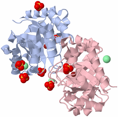 Image Biological Unit 1