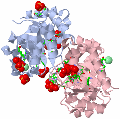 Image Biol. Unit 1 - sites