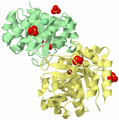 Image Biological Unit 2