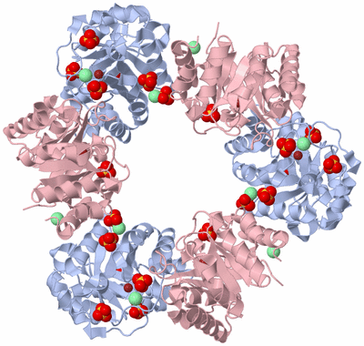 Image Biological Unit 3