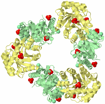 Image Biological Unit 4