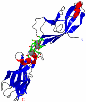 Image Asym. Unit - sites