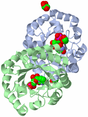 Image Asym./Biol. Unit