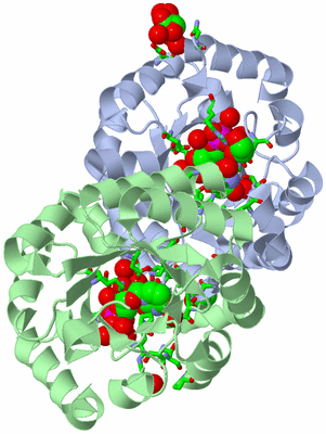 Image Asym./Biol. Unit - sites