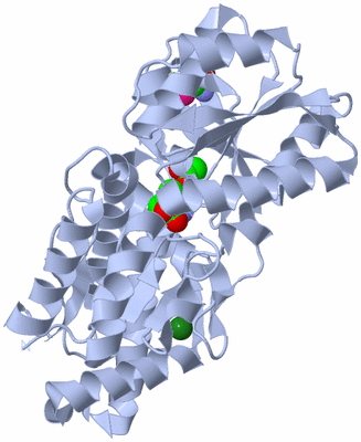 Image Biological Unit 1