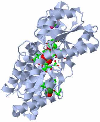 Image Biol. Unit 1 - sites