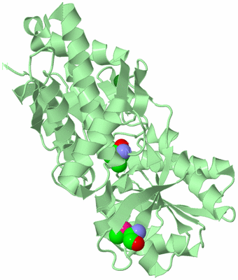 Image Biological Unit 2