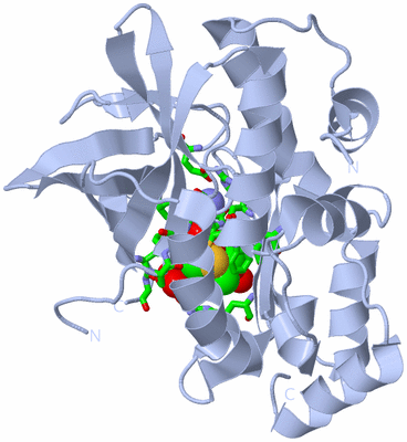 Image Biol. Unit 1 - sites