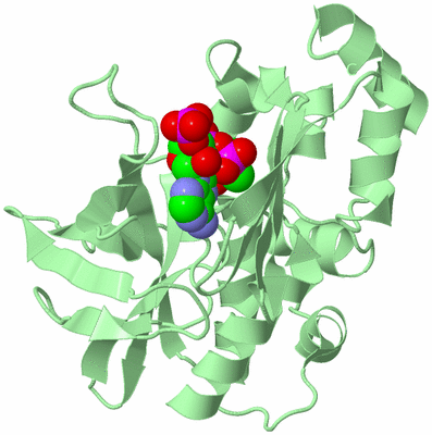 Image Biological Unit 2