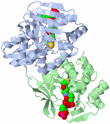Image Biological Unit 3
