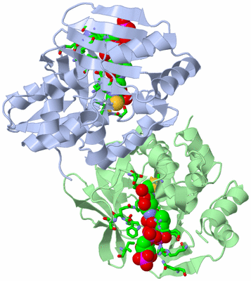 Image Asym. Unit - sites