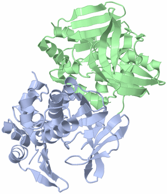 Image Biological Unit 3