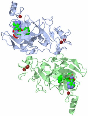 Image Asym./Biol. Unit