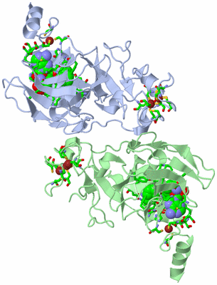 Image Asym./Biol. Unit - sites