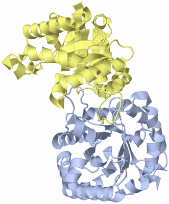 Image Biological Unit 1