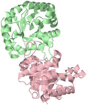 Image Biological Unit 2