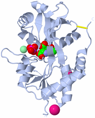 Image Biological Unit 1