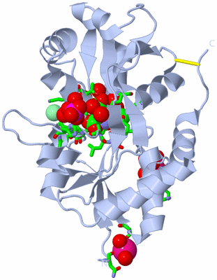 Image Biol. Unit 1 - sites