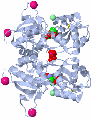 Image Biological Unit 2