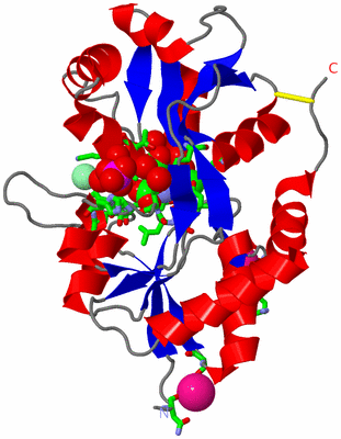 Image Asym. Unit - sites