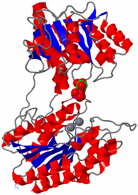 Image Asym./Biol. Unit