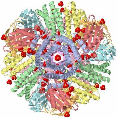 Image Biological Unit 1