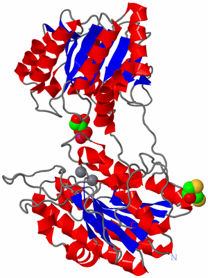 Image Asym./Biol. Unit