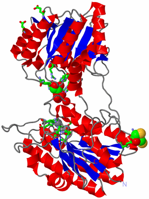 Image Asym./Biol. Unit - sites