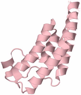 Image Biological Unit 3