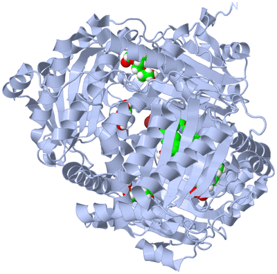 Image Biological Unit 1