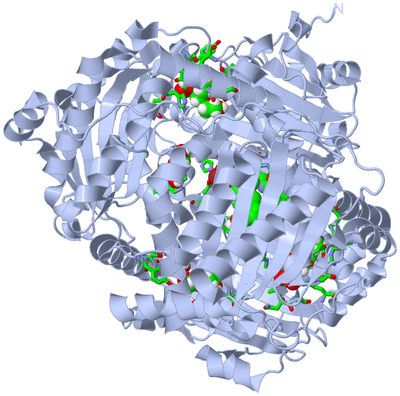 Image Biol. Unit 1 - sites