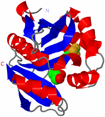 Image Asym./Biol. Unit