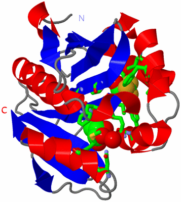 Image Asym./Biol. Unit - sites