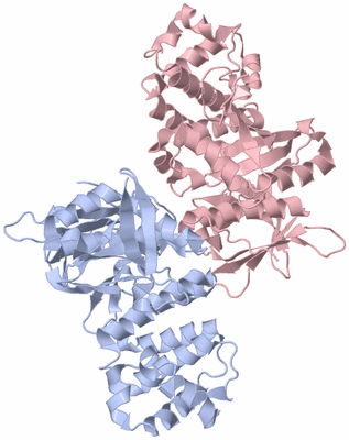 Image Biological Unit 2