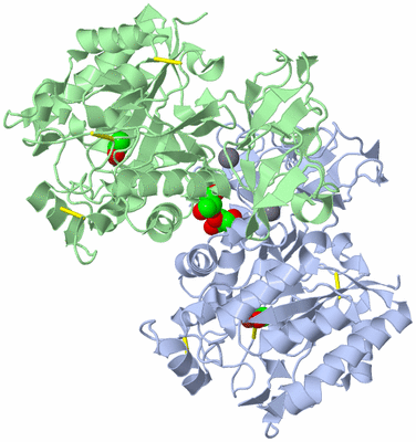 Image Asym./Biol. Unit