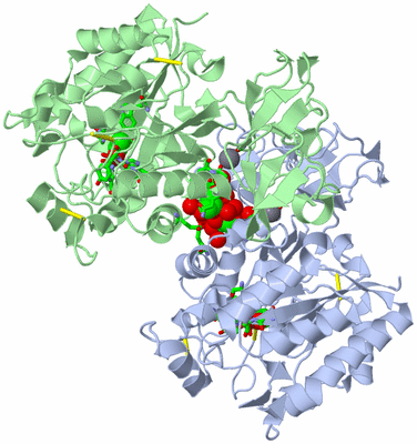 Image Asym./Biol. Unit - sites