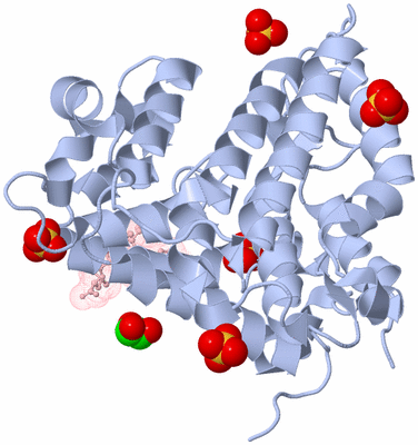 Image Biological Unit 1