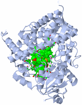 Image Biol. Unit 1 - sites