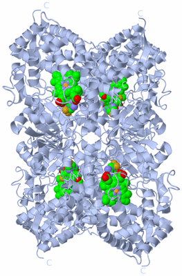 Image Biological Unit 2