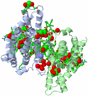 Image Asym./Biol. Unit - sites